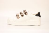 Baskets Femme Vanessa Wu Maggie BK 2193 LP-1 Leopard